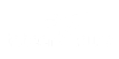tabeer logo