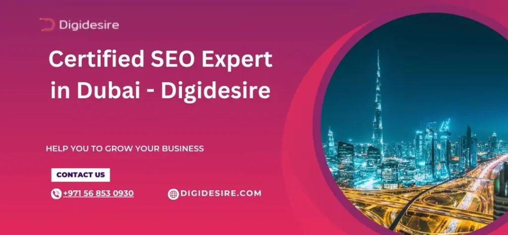 certified seo expert in dubai