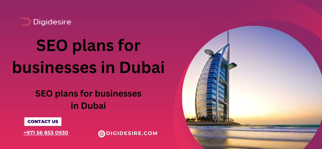 SEO plans for businesses in Dubai