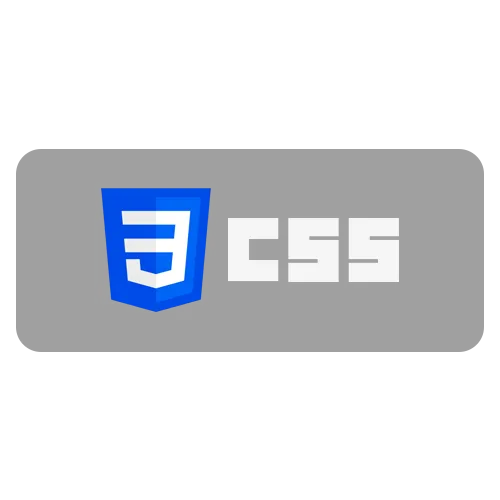 CSS