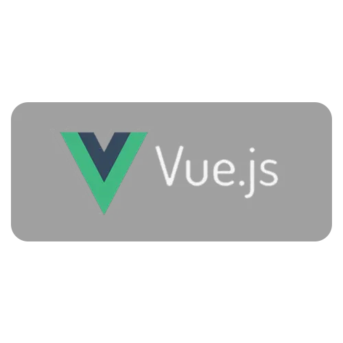 Vue js